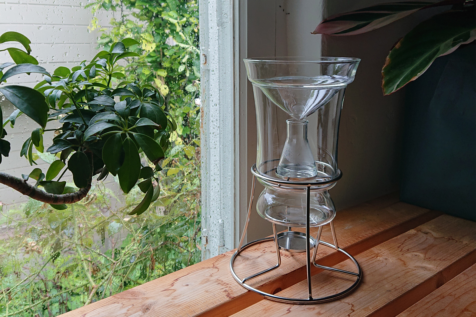植物からいただく、香りの楽しみ -Herb water Maker- – Seeding