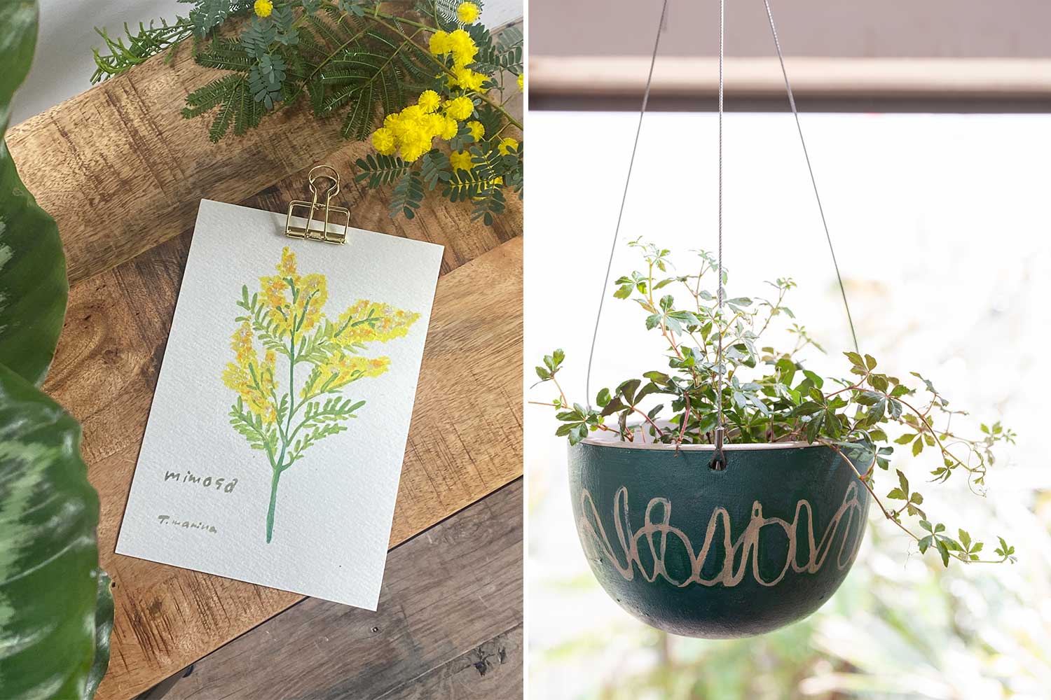 POPUP STORE. original planter
