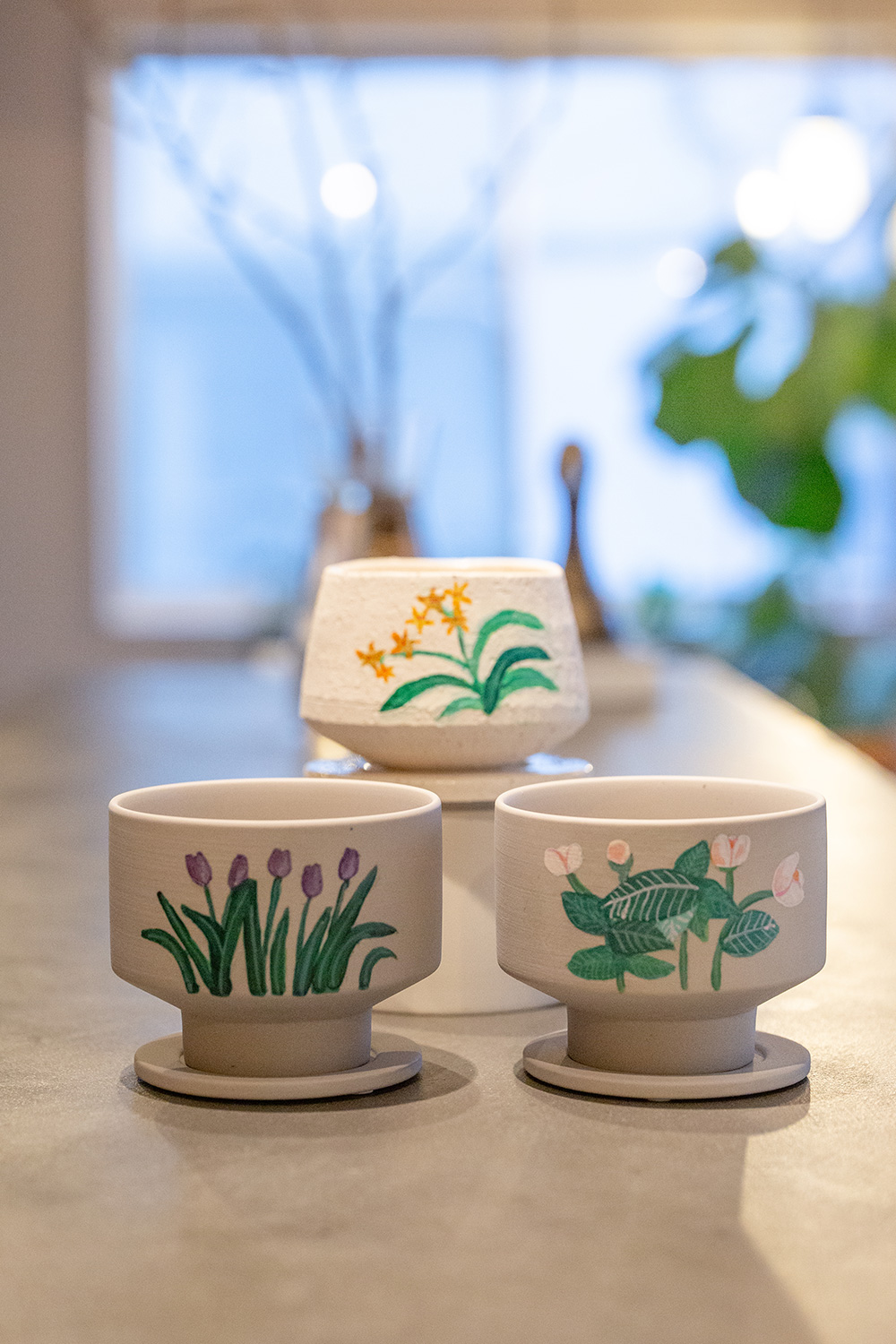 POPUP STORE. original planter 